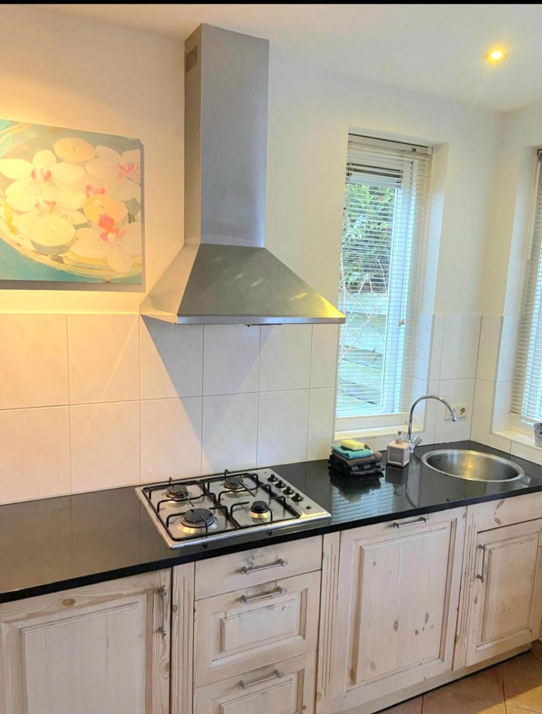 Huisje Finn, Met Grote Tuin En Veel Privacy Dirkshorn Exterior foto